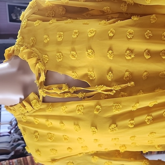 Tacera  Yellow Textured Swiss dot Dress size XL - Picture 4 of 8